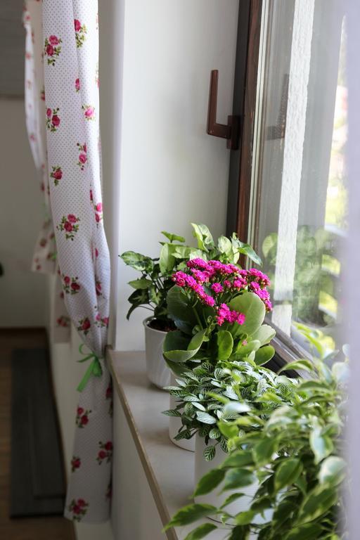 Lake House Apartment Medvode Εξωτερικό φωτογραφία