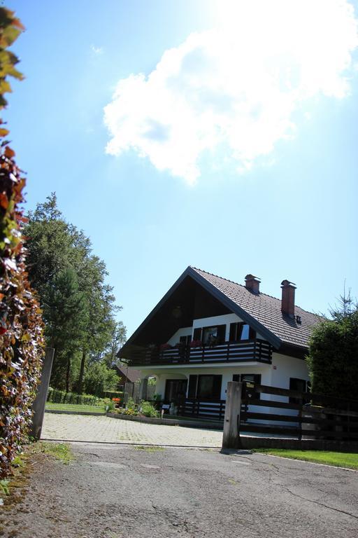Lake House Apartment Medvode Εξωτερικό φωτογραφία