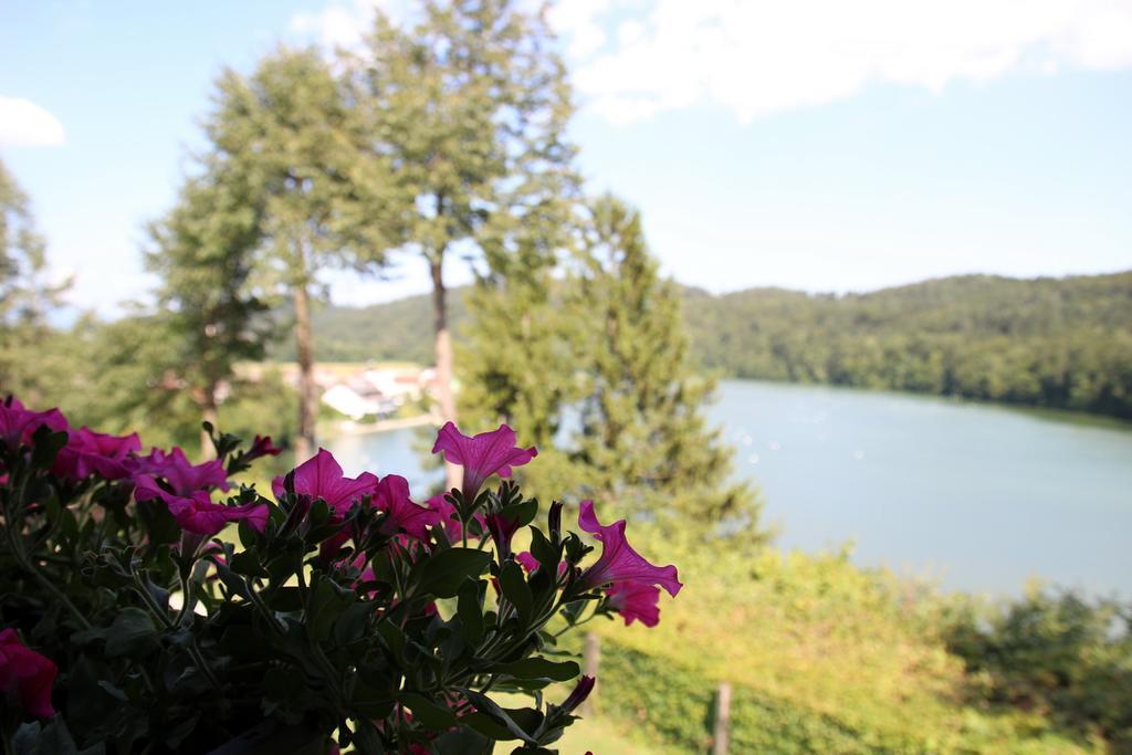 Lake House Apartment Medvode Εξωτερικό φωτογραφία