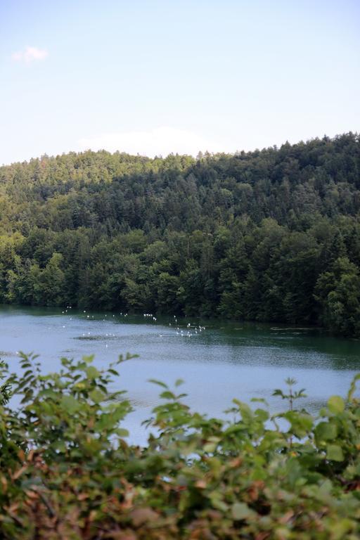 Lake House Apartment Medvode Εξωτερικό φωτογραφία