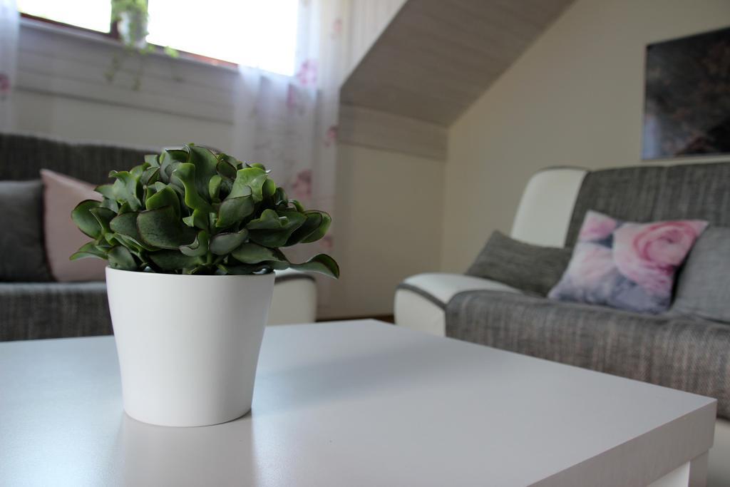 Lake House Apartment Medvode Εξωτερικό φωτογραφία